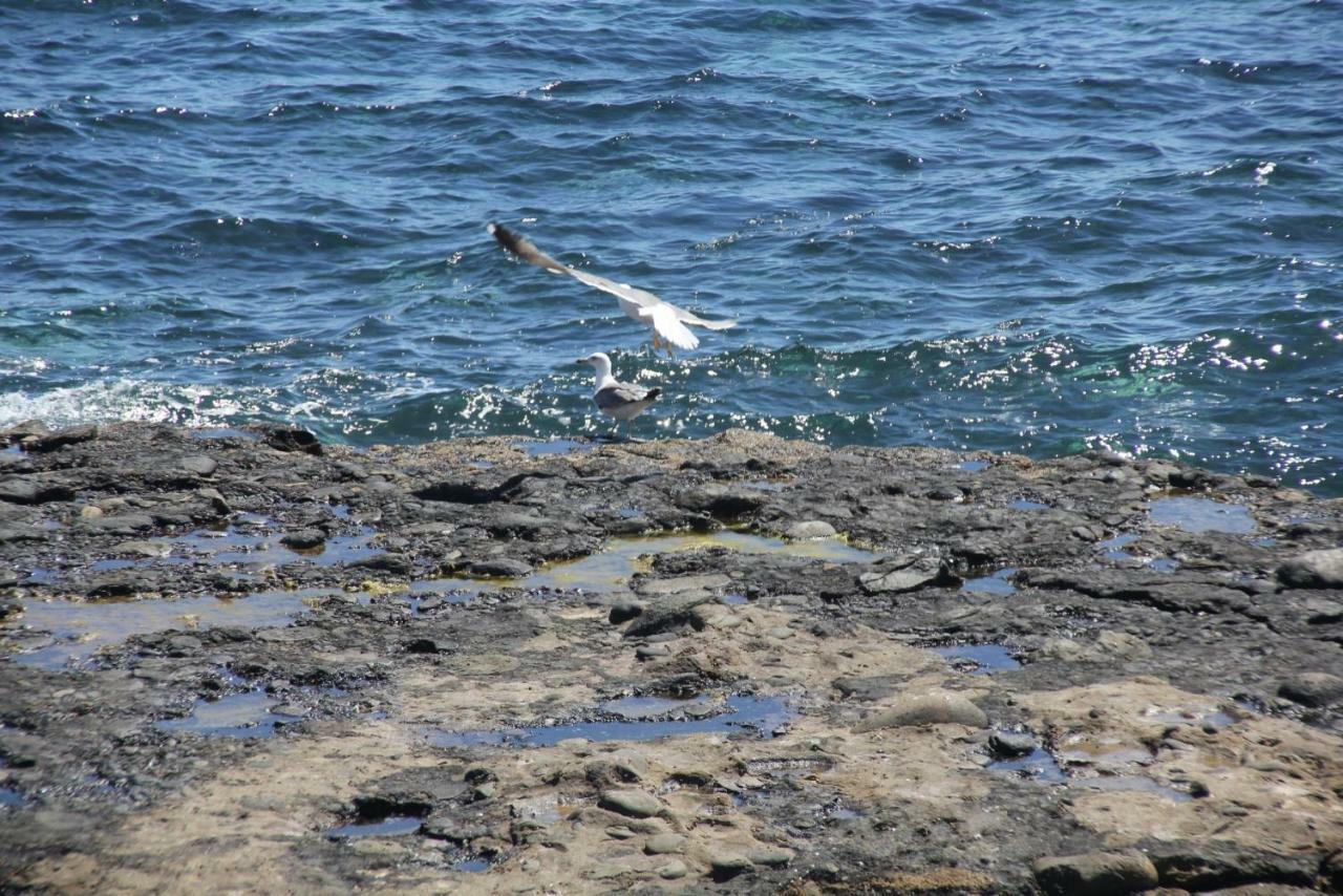 Seagull Estudios Pozo Izquierdo Bagian luar foto